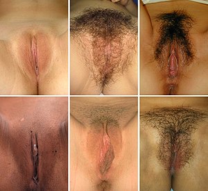 best of Vagina free nude bumps above
