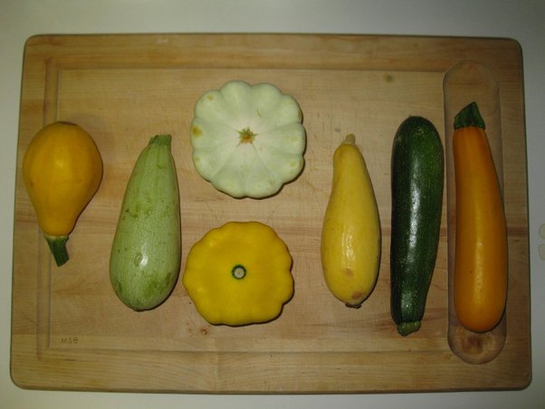 Zenith reccomend experimenting cucumber yellow squash